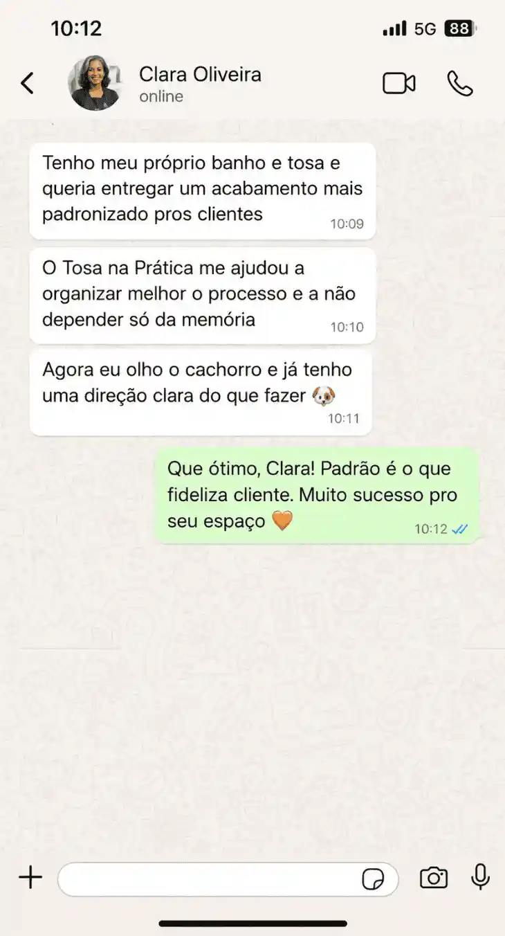 Depoimento de Clara Oliveira via WhatsApp